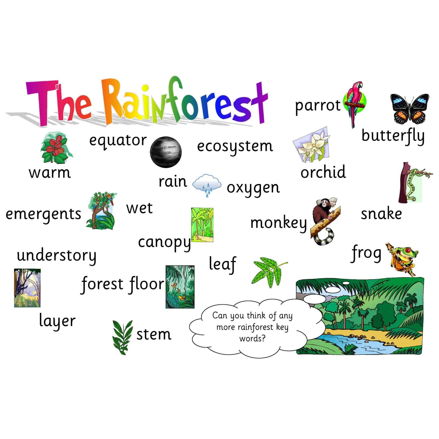 Rainforest Vocabulary Mat:Primary Classroom Resources