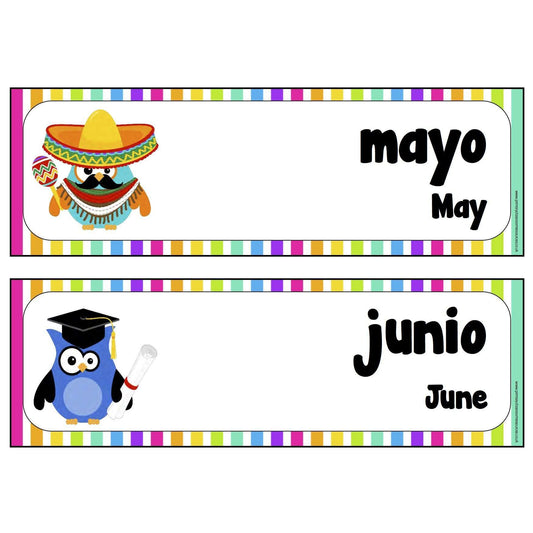 Spanish - English Months Cards:Primary Classroom Resources