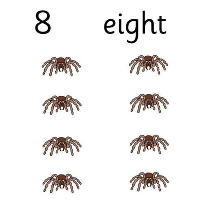 Spider Counting Cards Primary Classroom Resources