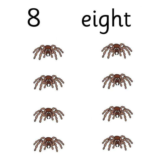 Spider Counting Cards:Primary Classroom Resources