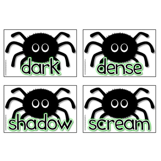 Spooky Spider Vocabulary Cards:Primary Classroom Resources