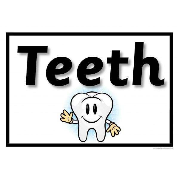 Teeth Display Resources Pack:Primary Classroom Resources