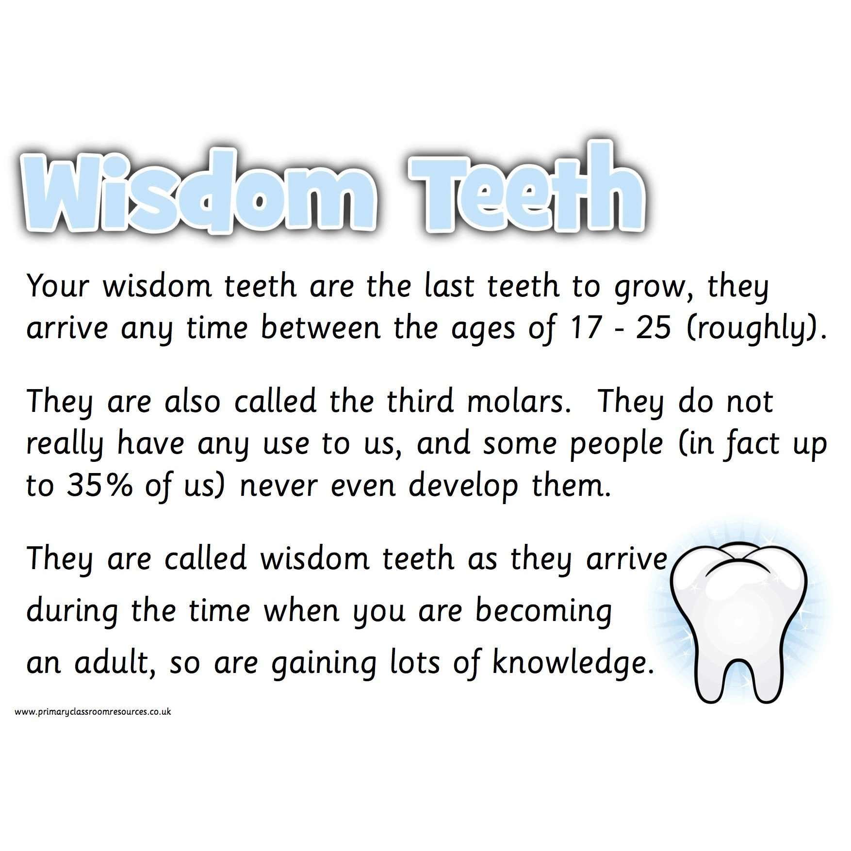 Teeth Information Posters:Primary Classroom Resources