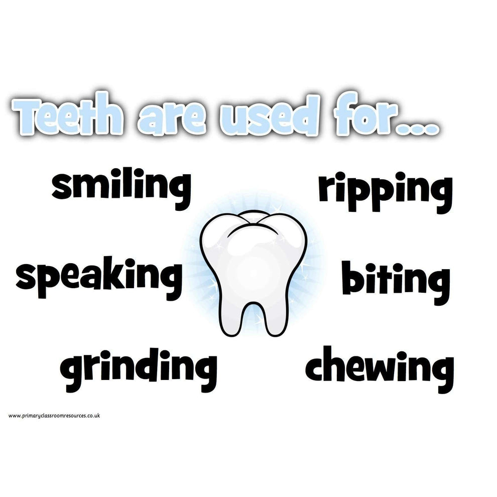 Published Teeth Explanation Text Example Teeth Information Posters – Primary Classroom Resources