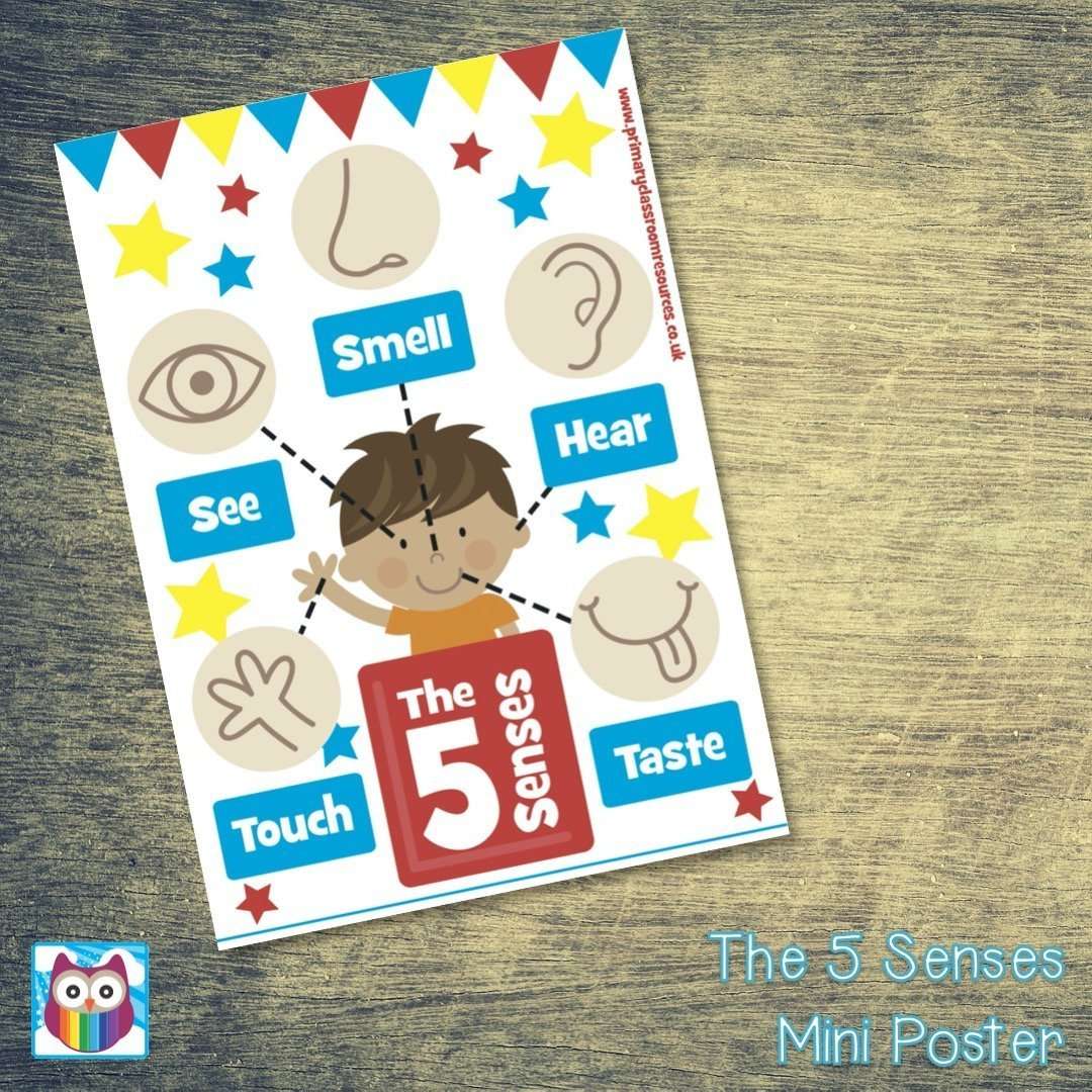 The 5 Senses Mini Poster/Help Mat:Primary Classroom Resources
