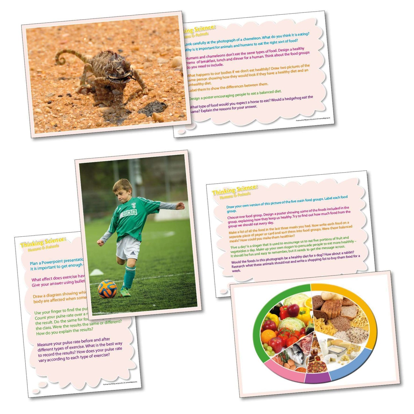 Thinking Science - Humans and Animals:Primary Classroom Resources