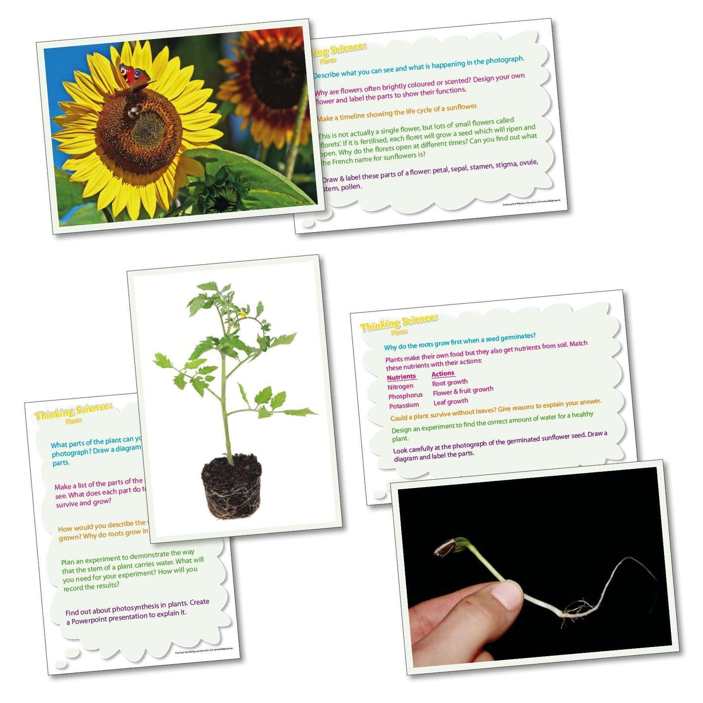 Thinking Science - Plants:Primary Classroom Resources