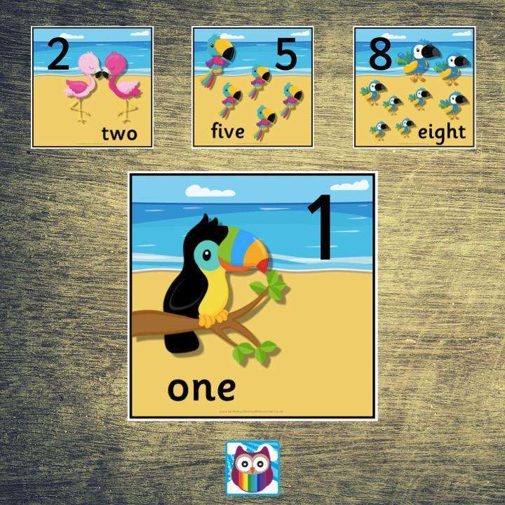 Tropical Themed Number Cards:Primary Classroom Resources