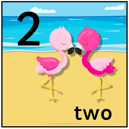 Tropical Themed Number Cards:Primary Classroom Resources
