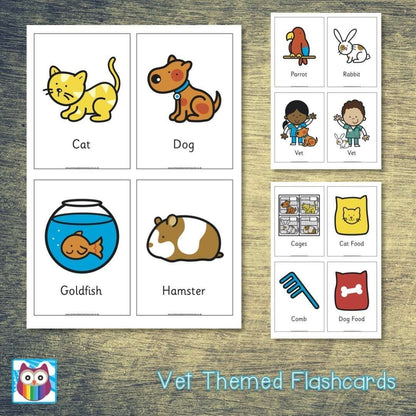 Vet Themed Flashcards:Primary Classroom Resources