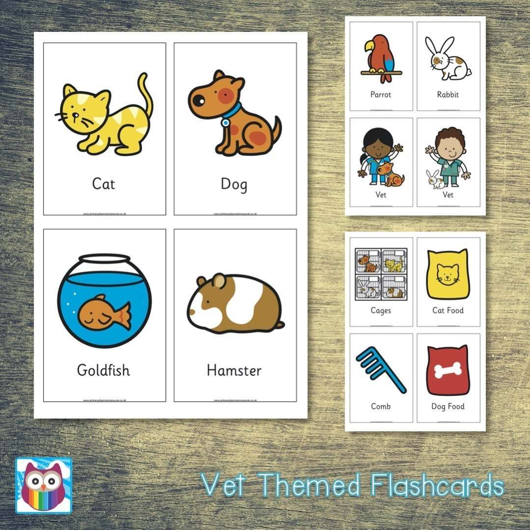 Vet Themed Flashcards – Primary Classroom Resources