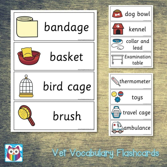 Vet Vocabulary Flashcards:Primary Classroom Resources