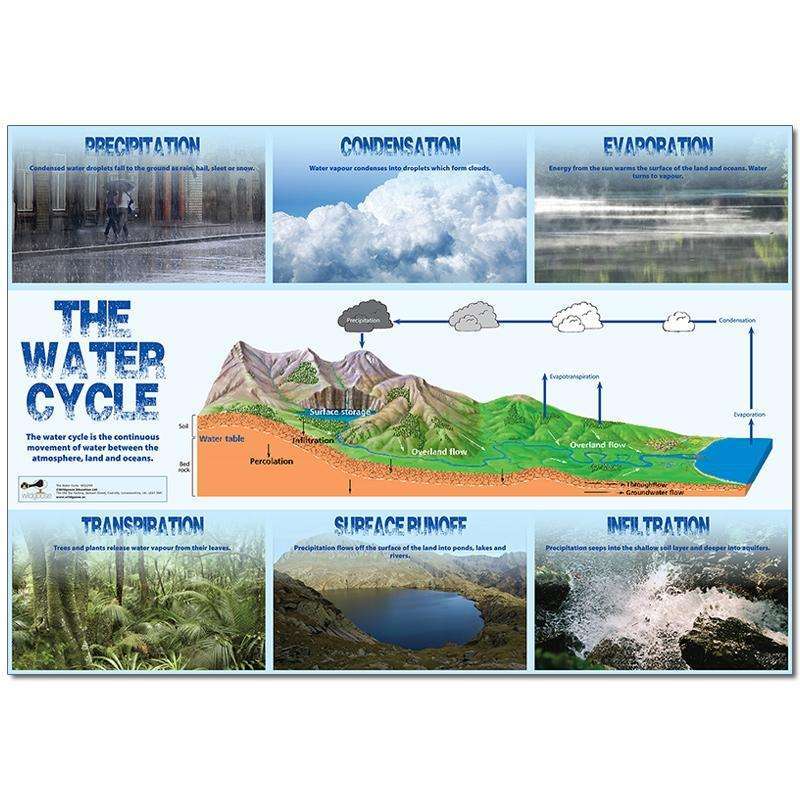 Water Cycle Poster:Primary Classroom Resources