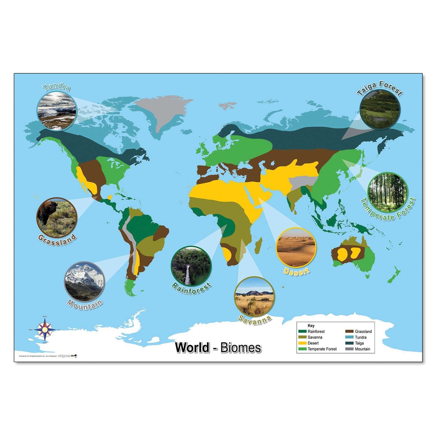 World Biomes Map:Primary Classroom Resources