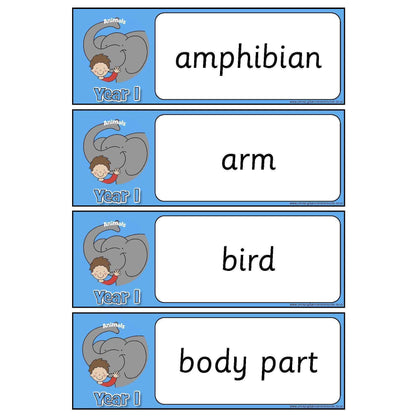 Year 1 Science Vocabulary - Animals:Primary Classroom Resources