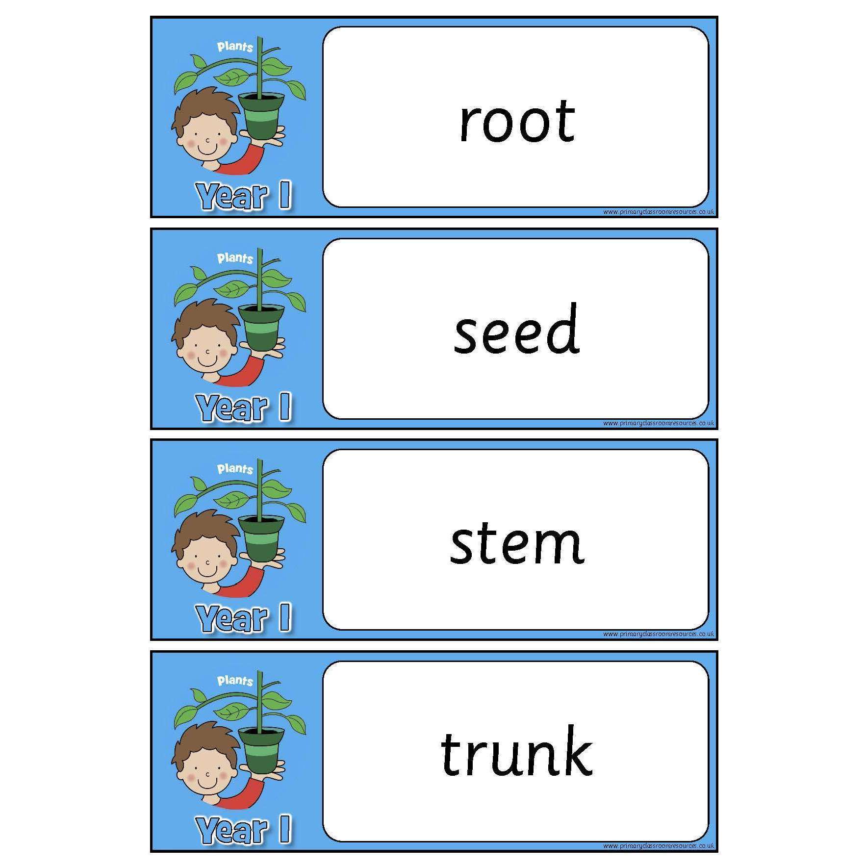 Year 1 Science Vocabulary - Plants:Primary Classroom Resources