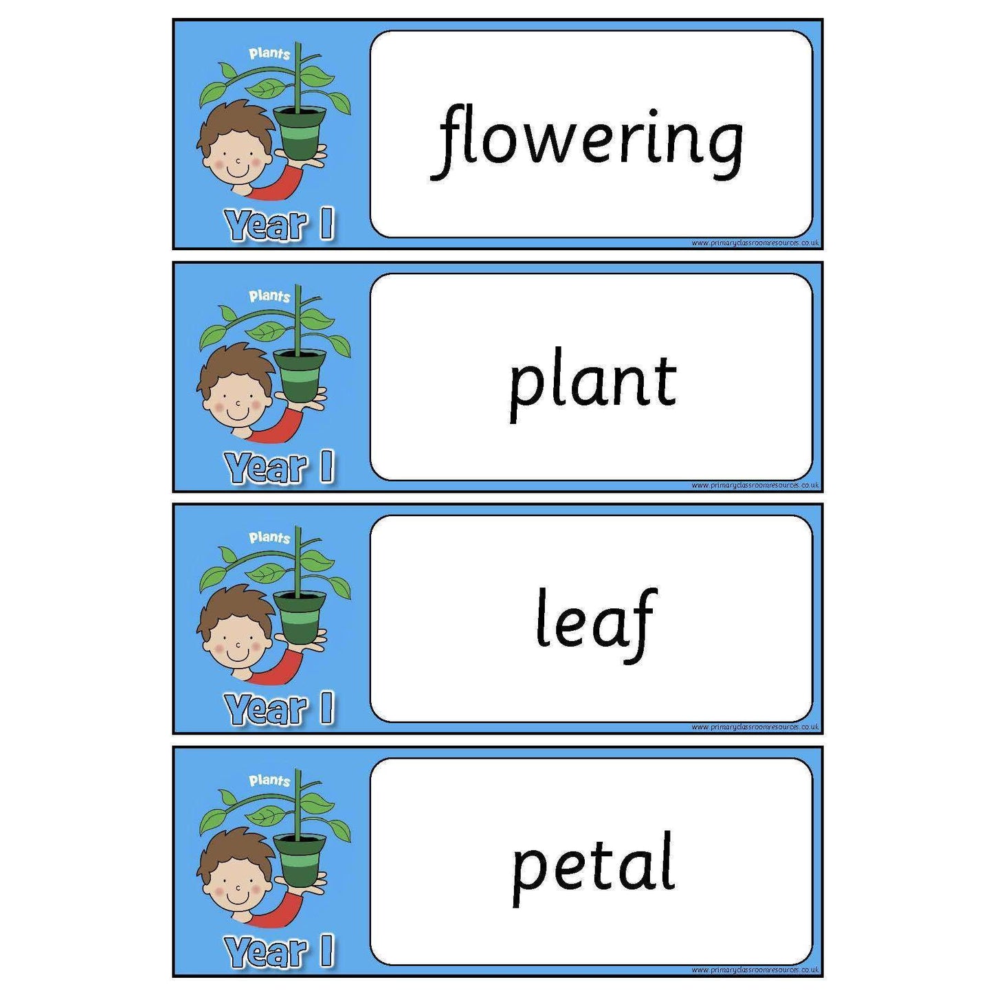Year 1 Science Vocabulary Pack:Primary Classroom Resources