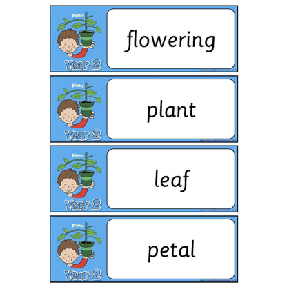 Year 2 Science Vocabulary - Plants:Primary Classroom Resources