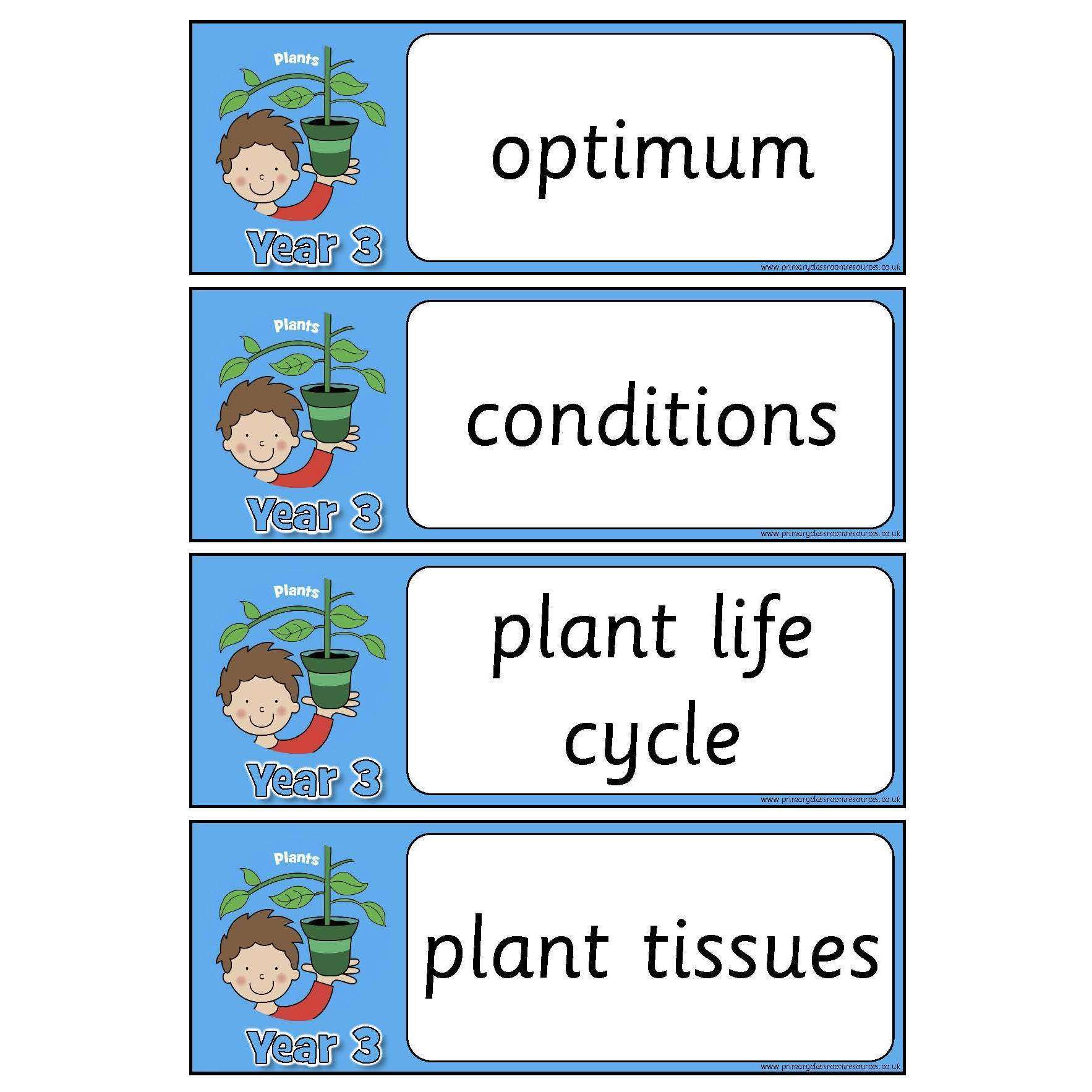 Year 3 Science Vocabulary - Plants:Primary Classroom Resources