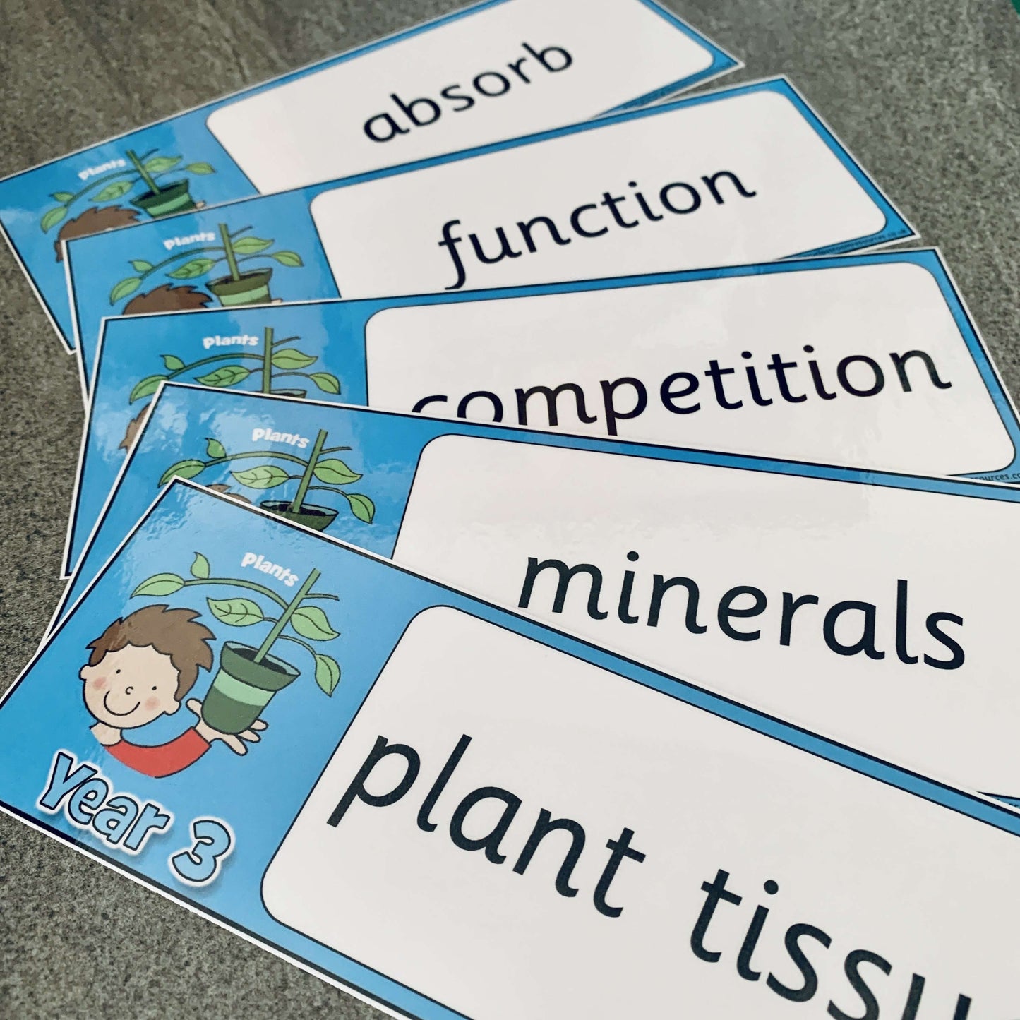 Year 3 Science Vocabulary - Plants:Primary Classroom Resources