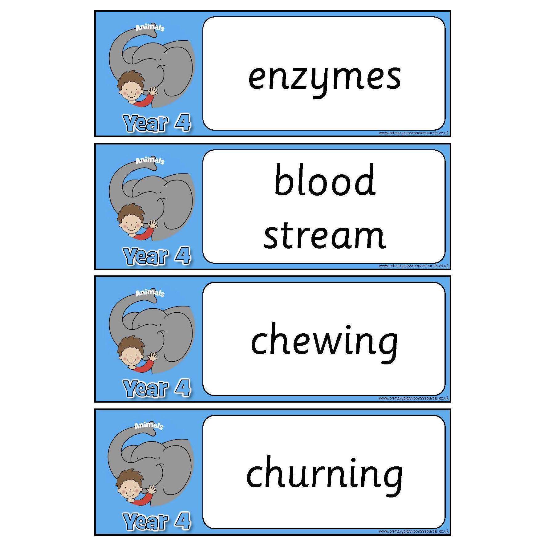 Year 4 Science Vocabulary - Animals including humans:Primary Classroom Resources
